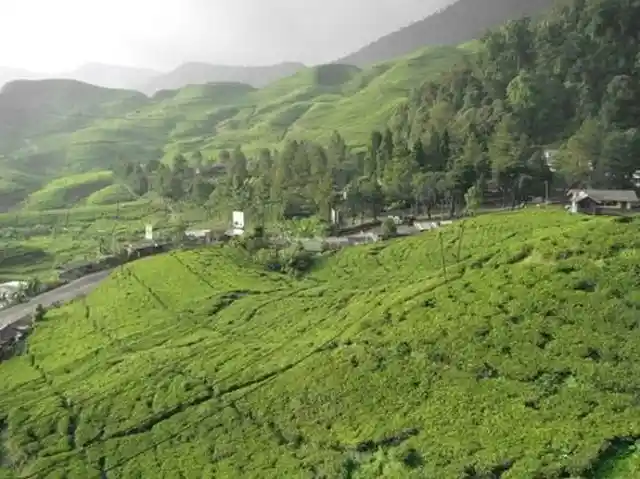 الجبل الاخضر في اندونيسيا