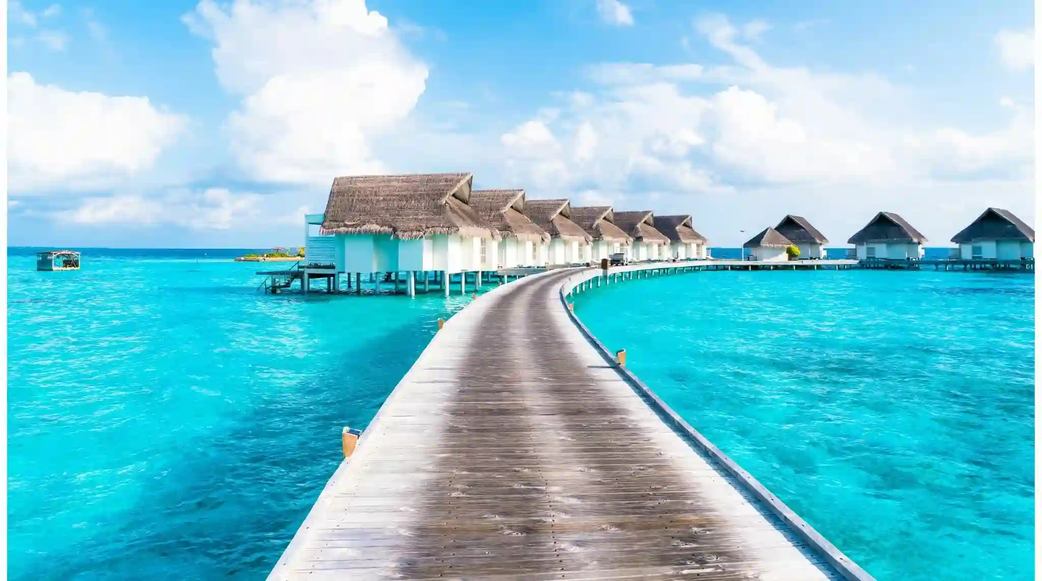 Maldives Paradise Calls January February