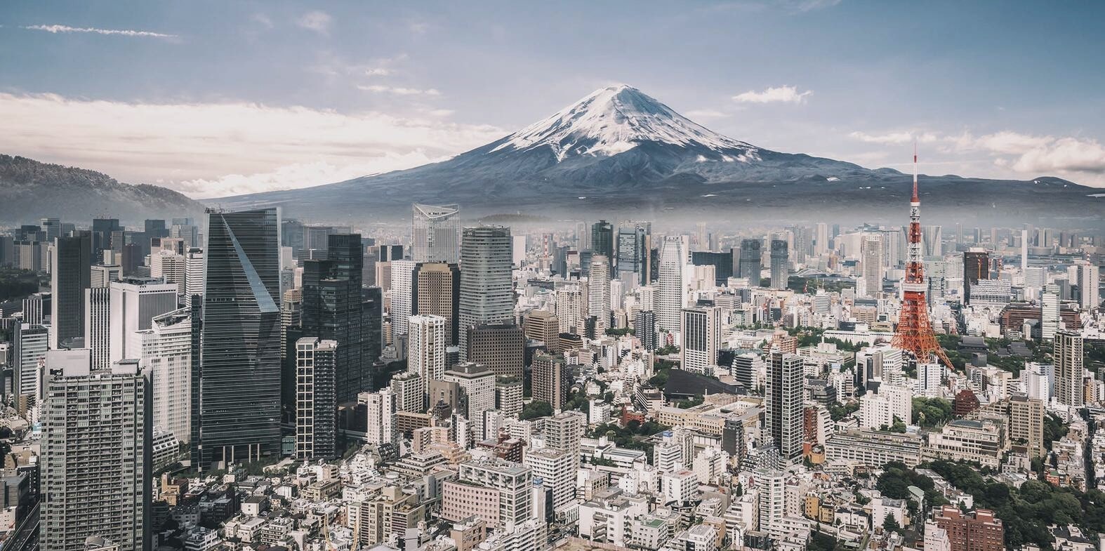 Amazing National Parks in Osaka