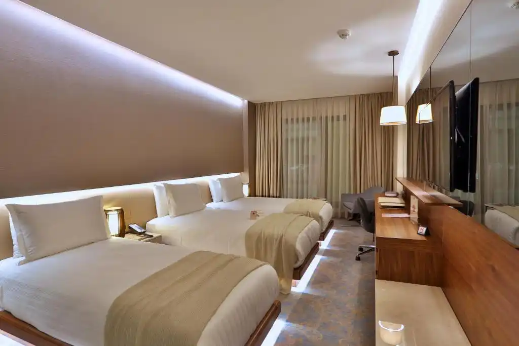Dosso Dossi Hotel In Istanbul