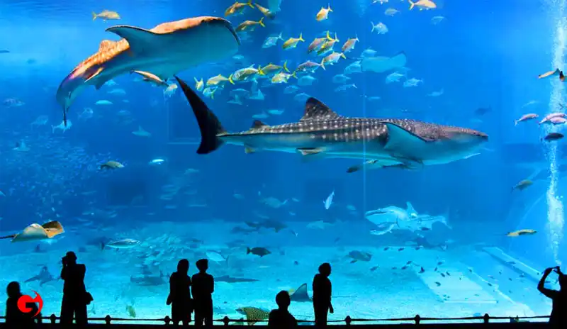 A Tourist Program To Istanbul For 10 Days And 9 Nights