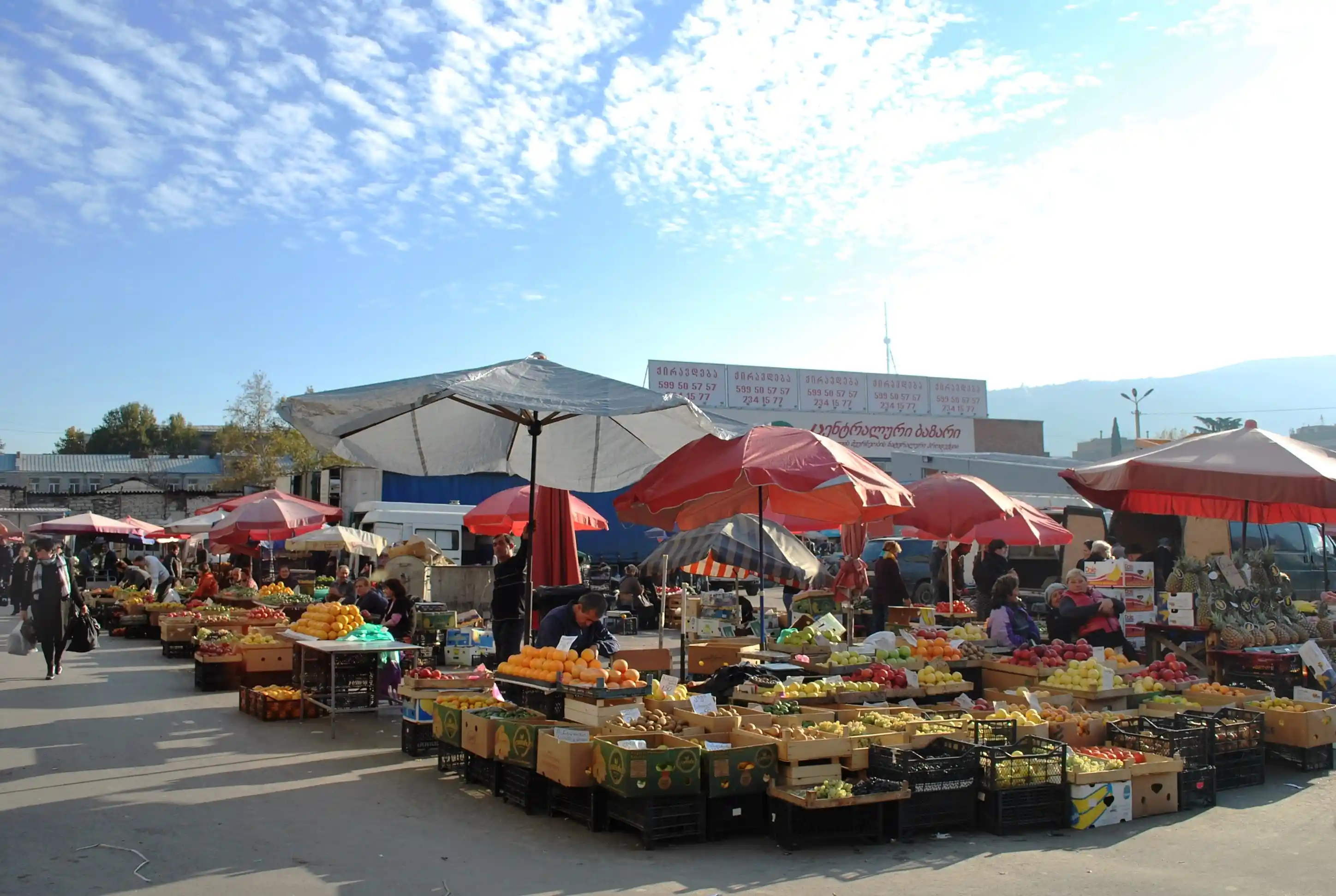 عرض جــورجــيــا في شهر يناير وفبراير