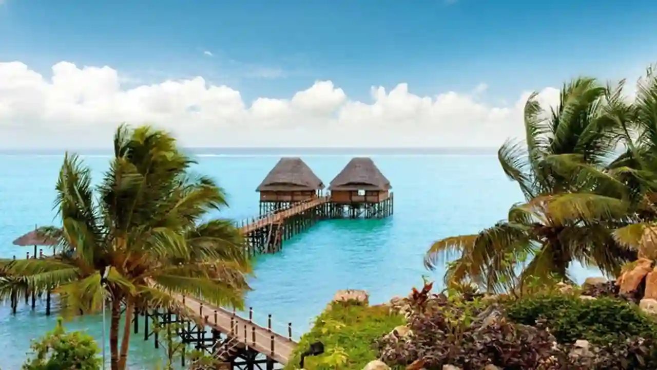 عرض زنـــجــــبـــــار في شهر يناير وفبراير