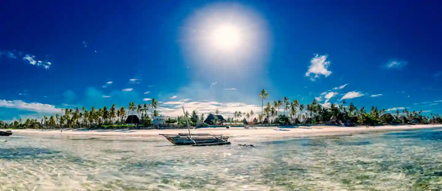 عرض زنـــجــــبـــــار في شهر يناير وفبراير