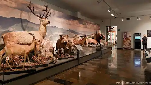 برنامج سياحي الى جورجيا في عيد الأضحى