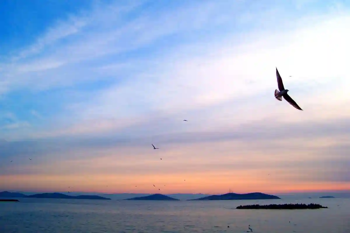 رحلة جزيرة الاميرات بالتفصيل