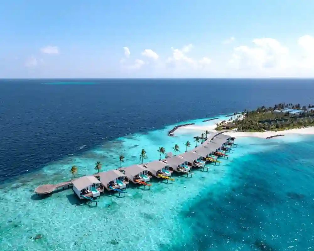 عرض المالديف في شهر يناير وفبراير