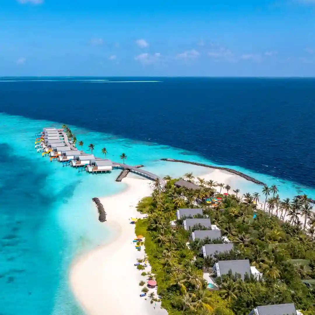 عرض المالديف في شهر يناير وفبراير
