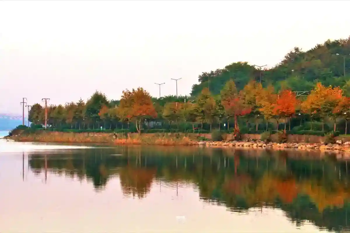 Sapanca And Masukiye Trip