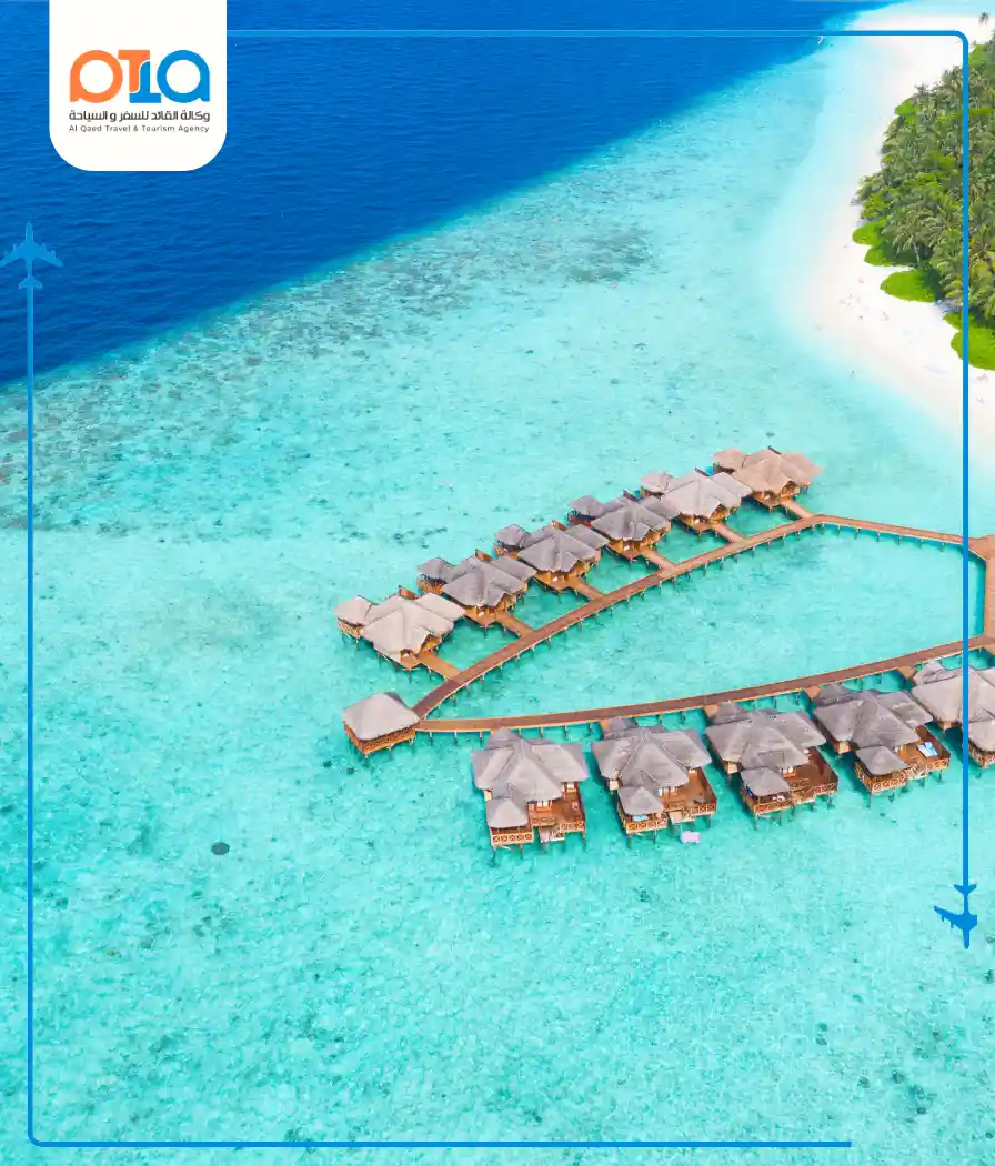 المالديف
