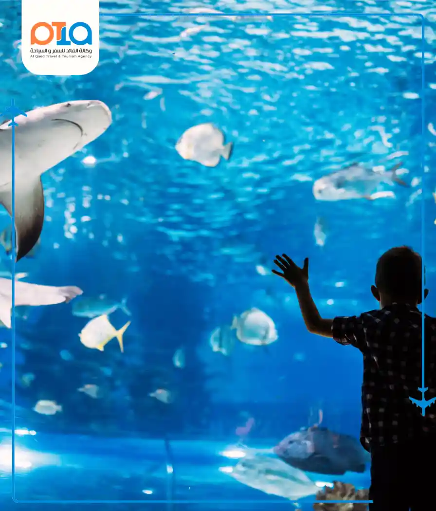Dolphinarium - Zorlu Mall - Egyptian Market