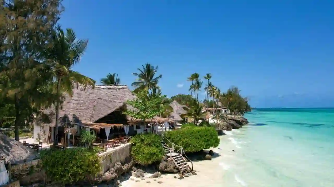 عرض زنـــجــــبـــــار في شهر يناير وفبراير