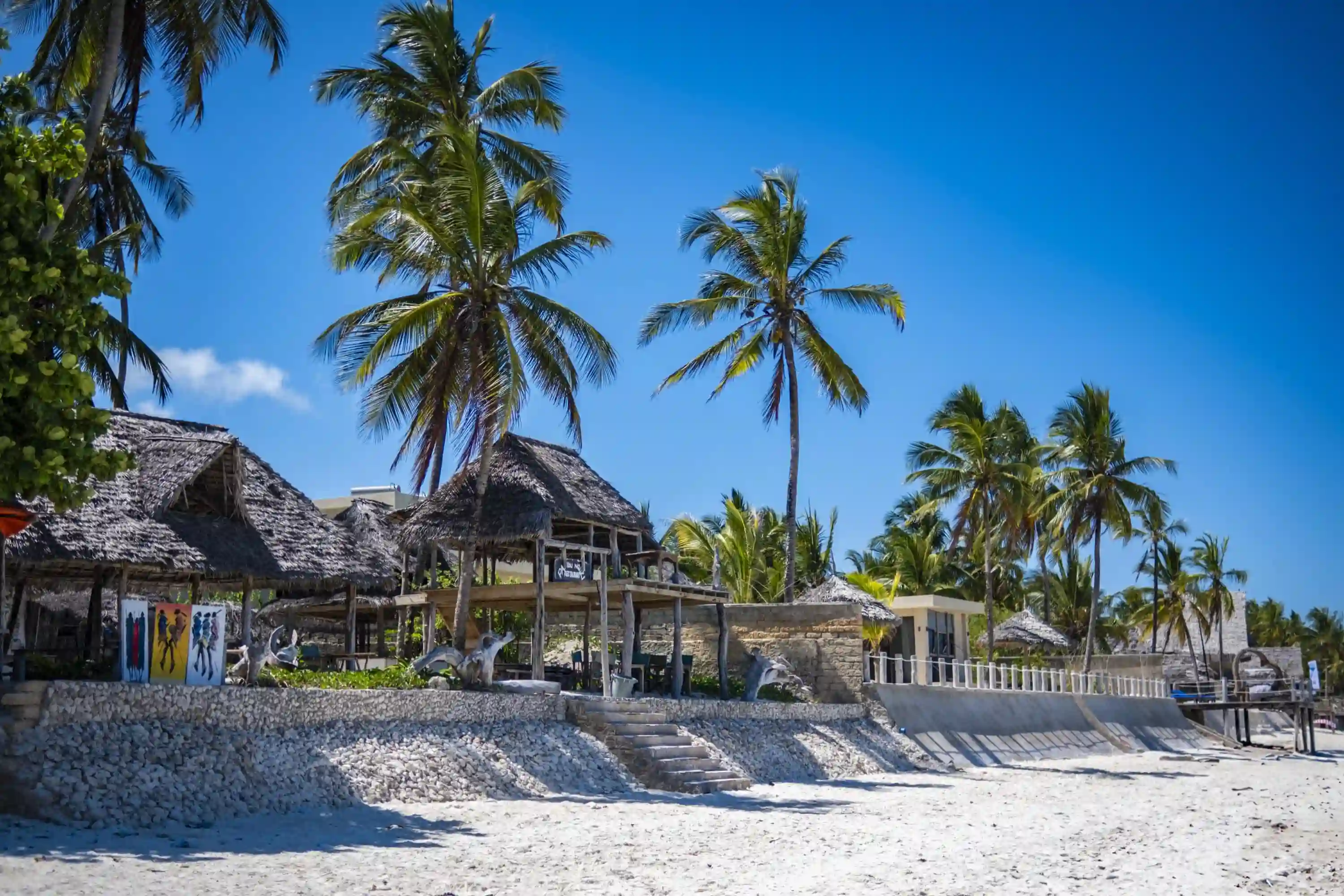 عرض زنـــجــــبـــــار في شهر يناير وفبراير