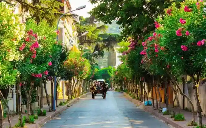 Princess Island Trip In Detail