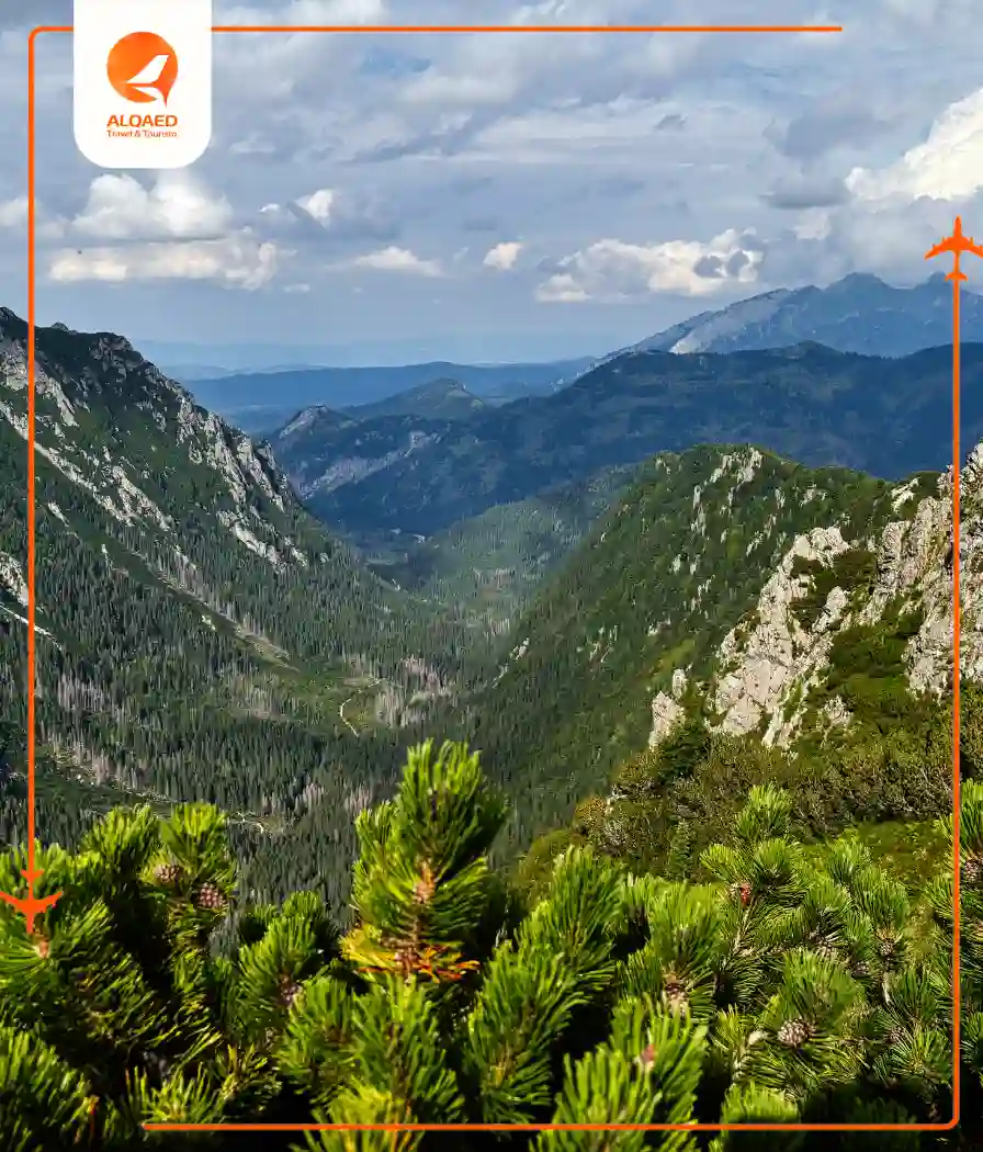  جولة في زاكوباني