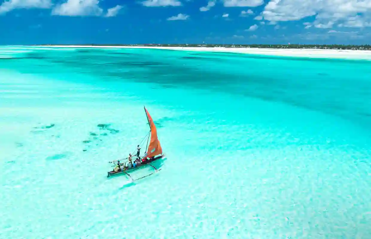 عرض زنـــجــــبـــــار في شهر يناير وفبراير